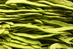 ddos攻击器安卓ios下载