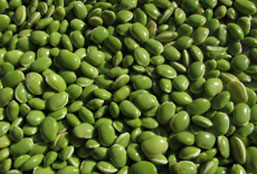 ddos网页在线攻击