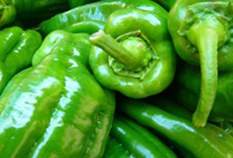 ddos攻击器安卓ios下载